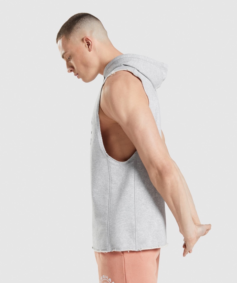 Gymshark Legacy Drop Arm Mikina S Kapucňou Svetlosivá Jadrová Marl