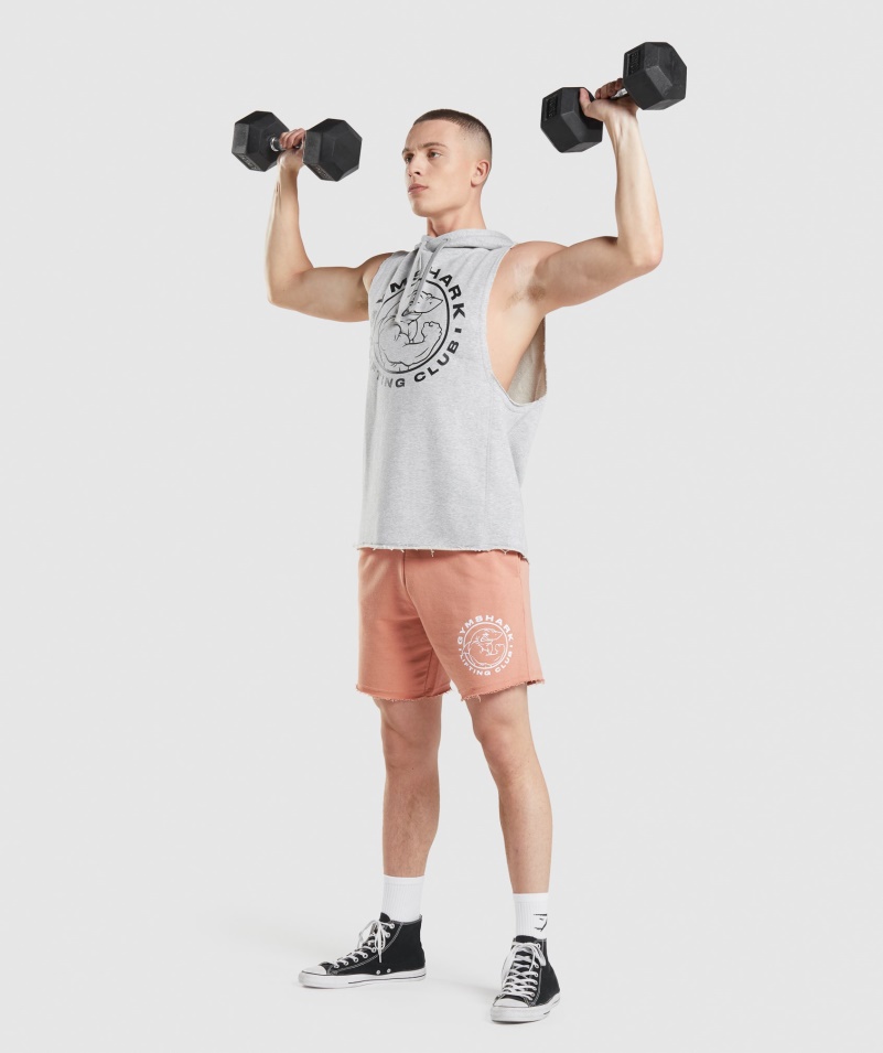 Gymshark Legacy Drop Arm Mikina S Kapucňou Svetlosivá Jadrová Marl