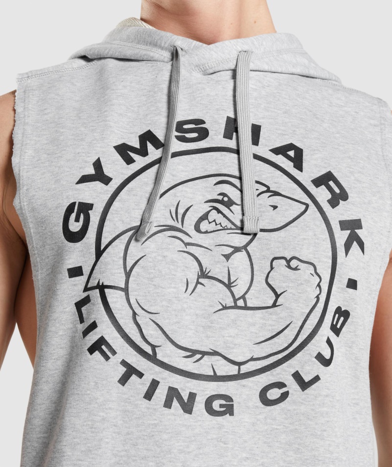 Gymshark Legacy Drop Arm Mikina S Kapucňou Svetlosivá Jadrová Marl
