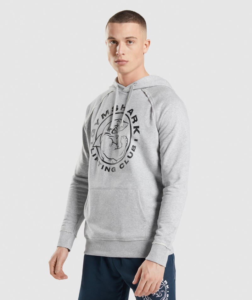 Gymshark Legacy Mikina S Kapucňou Svetlo šedá Jadrová Marl