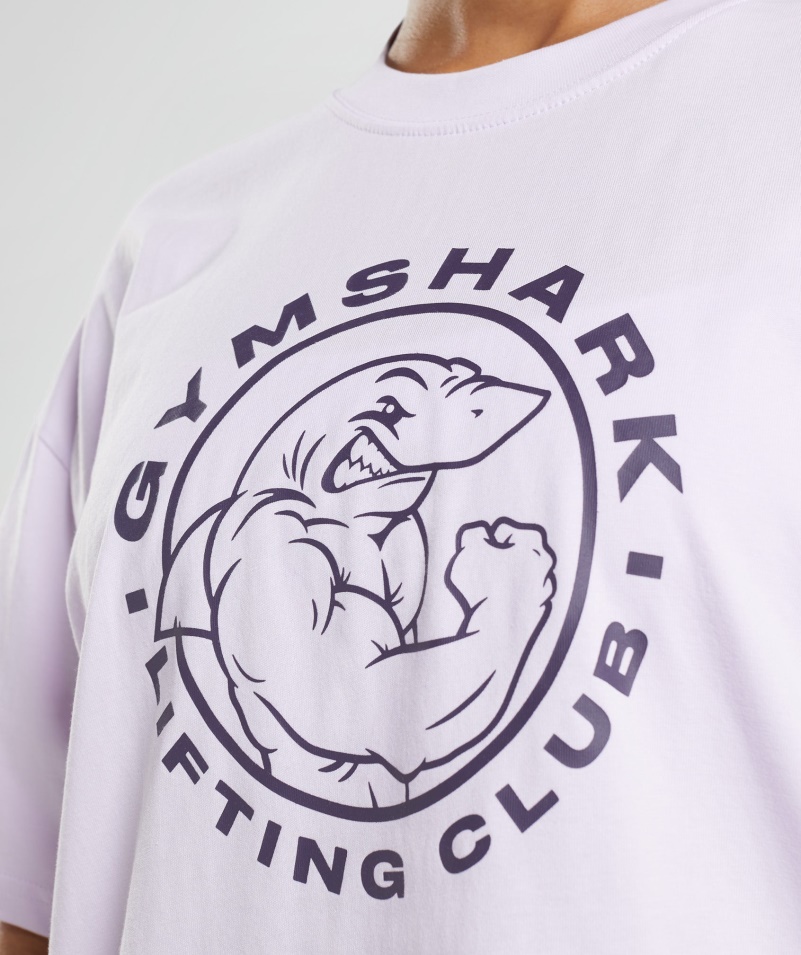Gymshark Legacy Oversized Tričko Vyblednuté Lila