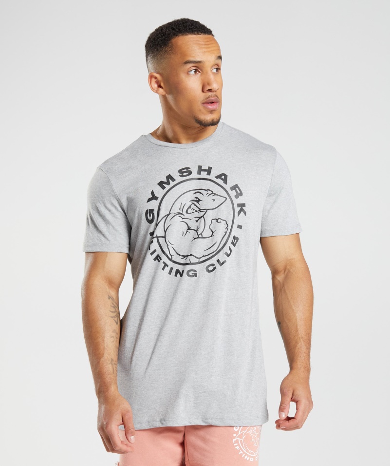 Gymshark Legacy Tričko Svetlosivé Jadro Marl