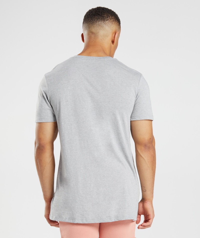 Gymshark Legacy Tričko Svetlosivé Jadro Marl