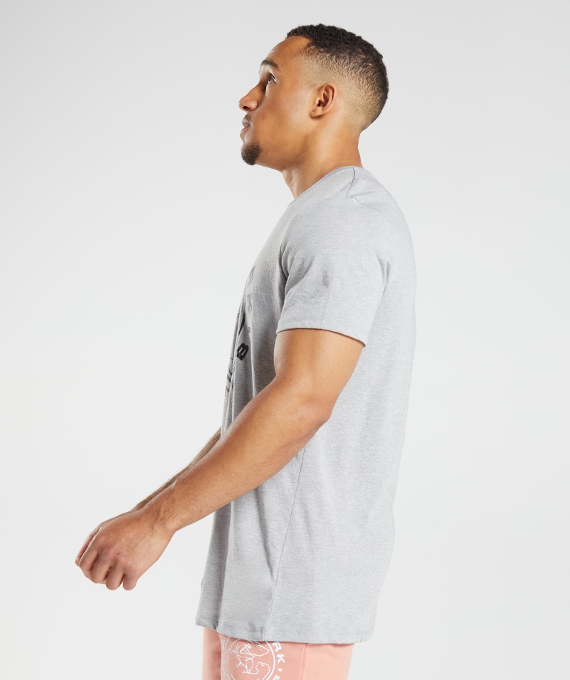 Gymshark Legacy Tričko Svetlosivé Jadro Marl