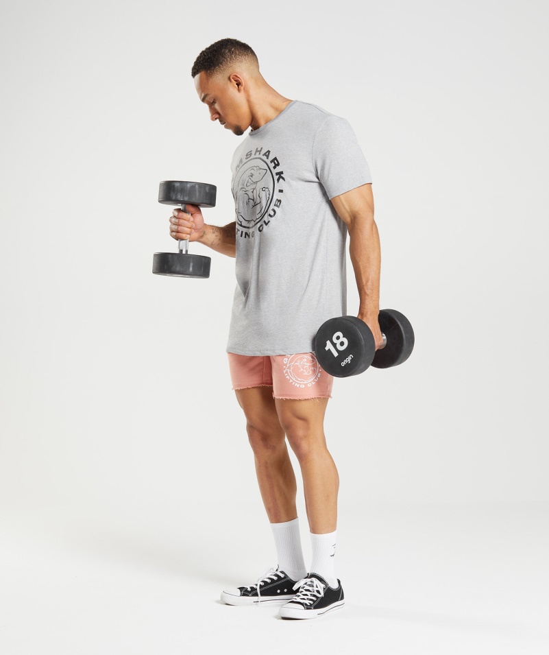 Gymshark Legacy Tričko Svetlosivé Jadro Marl