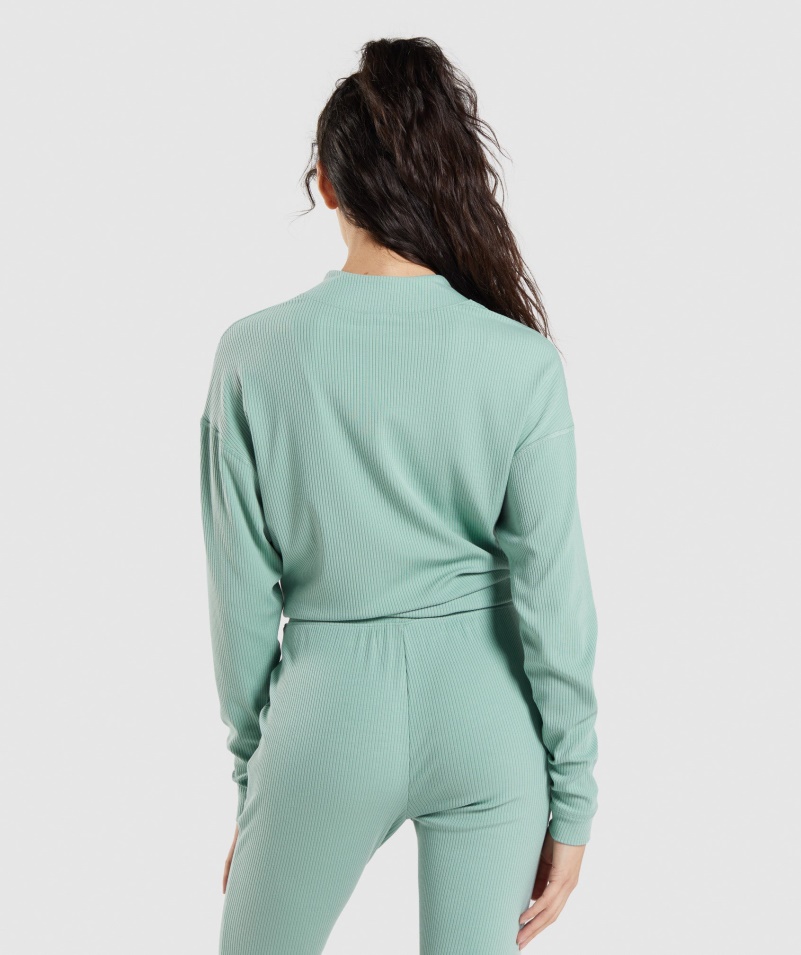 Gymshark Pauza Bunda Na Zips Maya Modrá