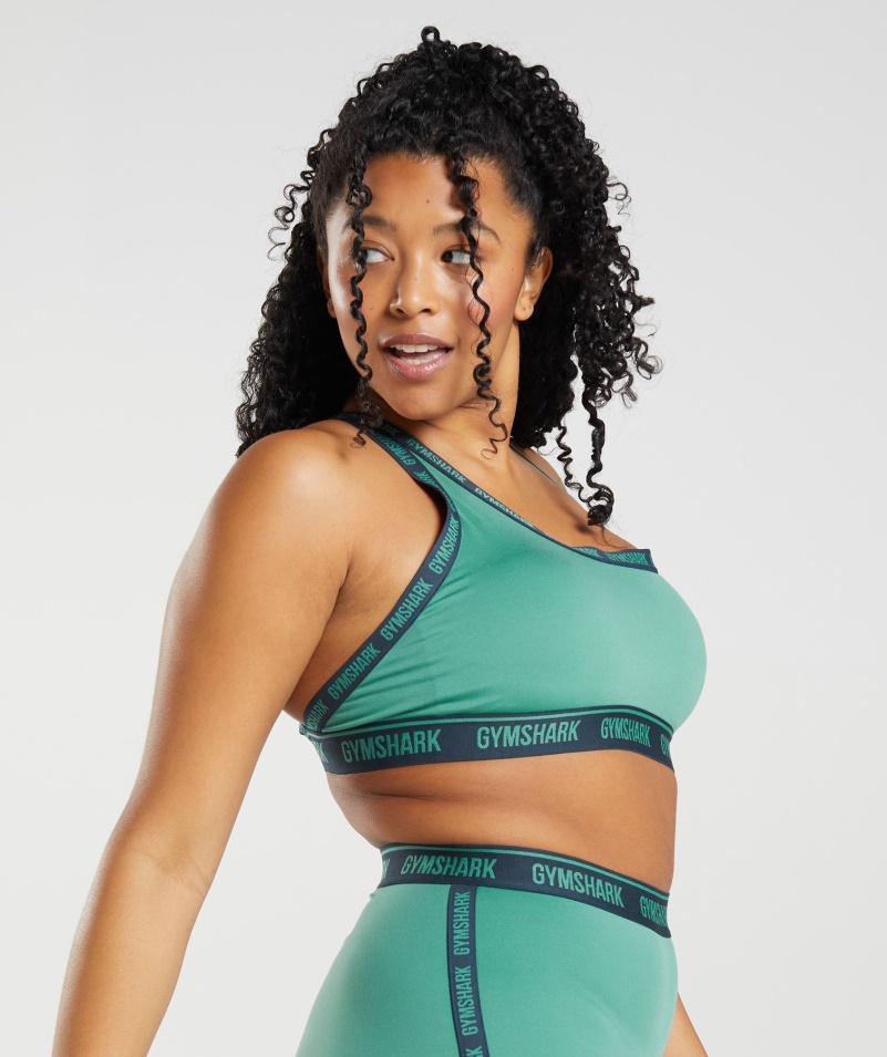 Gymshark Strike športová Podprsenka Alpská Zeleno-námorná