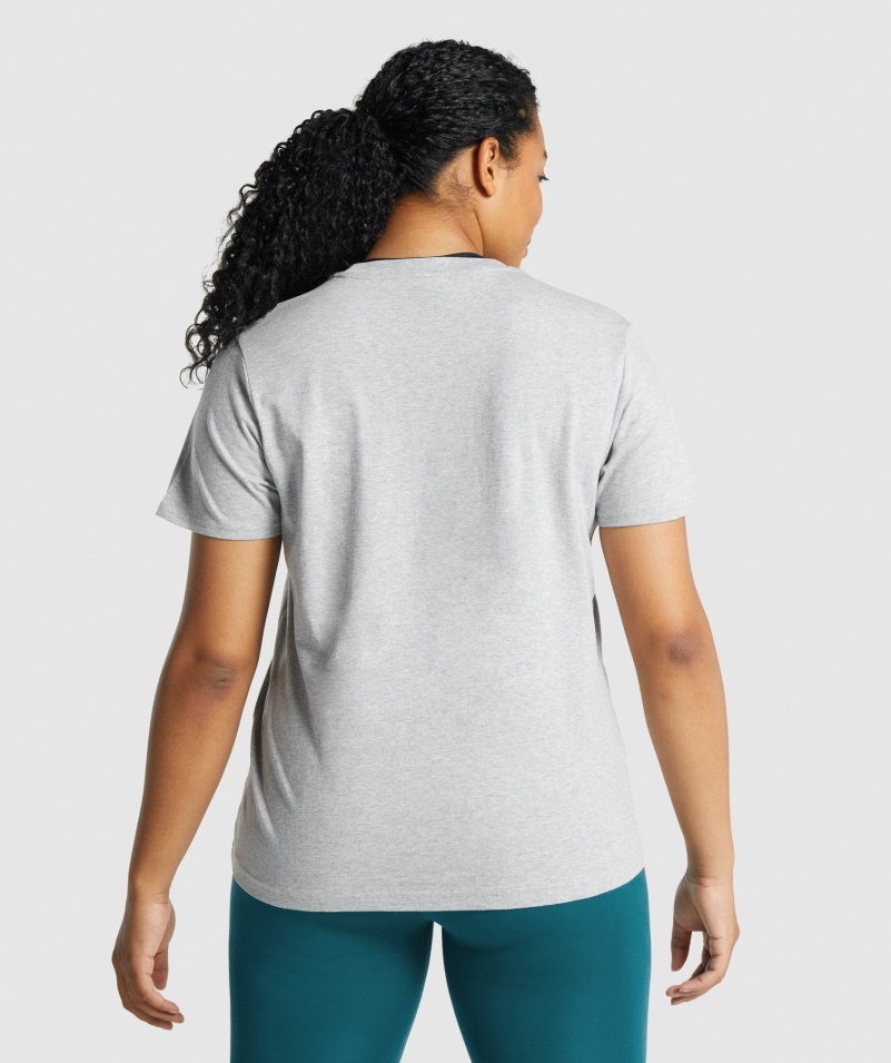 Gymshark Training Basic Tee Svetlosivá Marl