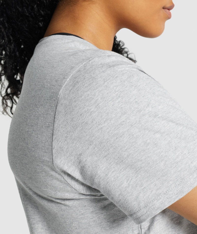 Gymshark Training Basic Tee Svetlosivá Marl