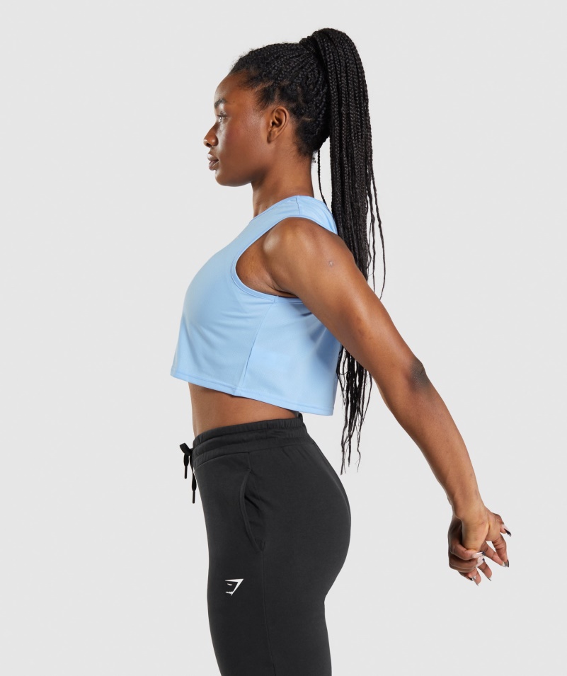 Gymshark Tréningová Plodina Tank Mesačný Kameň Modrý
