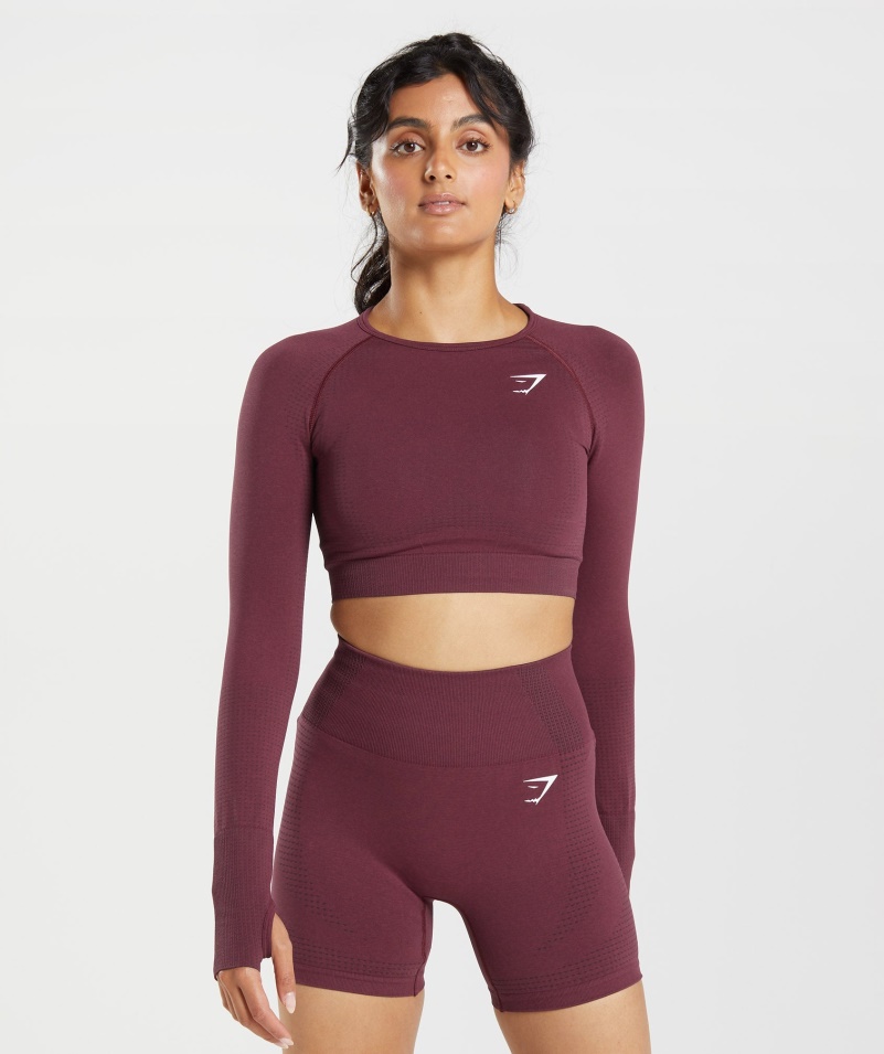 Gymshark Vital Bezšvové 2.0 Crop Top Pečená Gaštanová Marl
