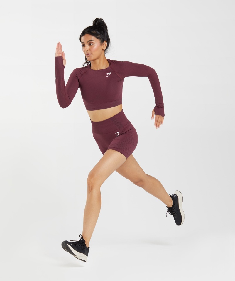 Gymshark Vital Bezšvové 2.0 Crop Top Pečená Gaštanová Marl