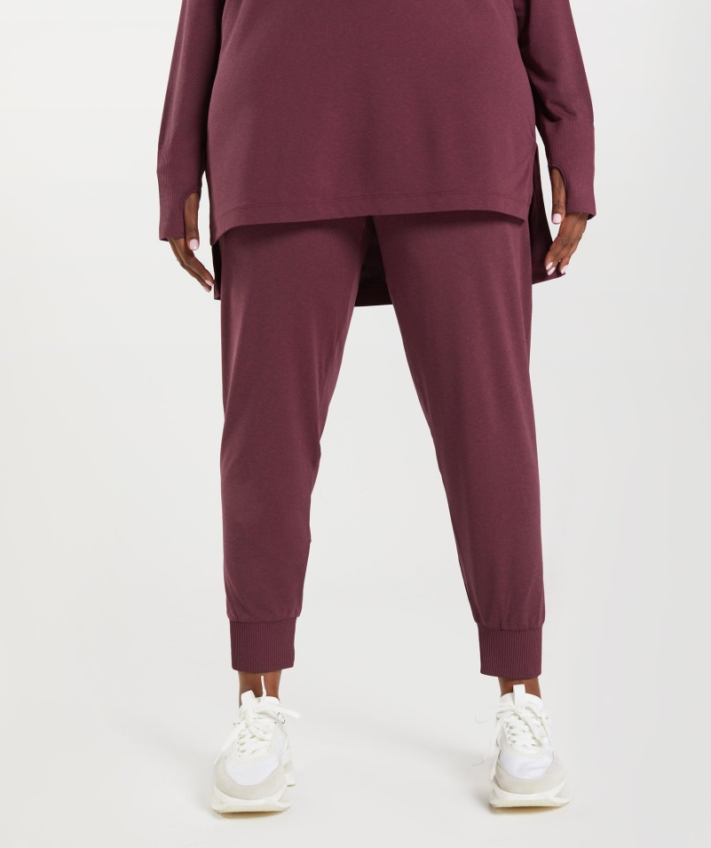 Gymshark Vital Bezšvové 2.0 Joggers Pečené Gaštanové Marl