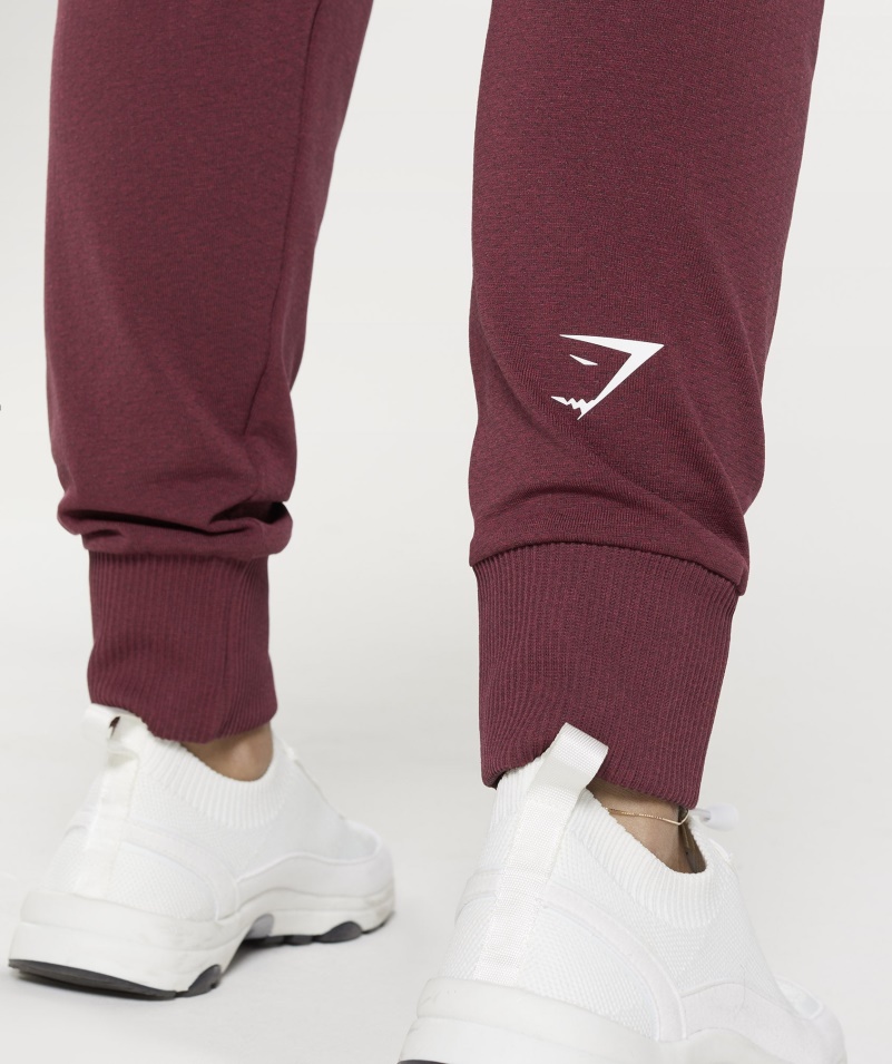 Gymshark Vital Bezšvové 2.0 Joggers Pečené Gaštanové Marl