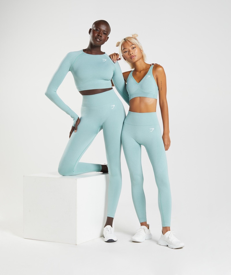 Gymshark Vital Bezšvové 2.0 Legíny Perleťovo Modré Marl