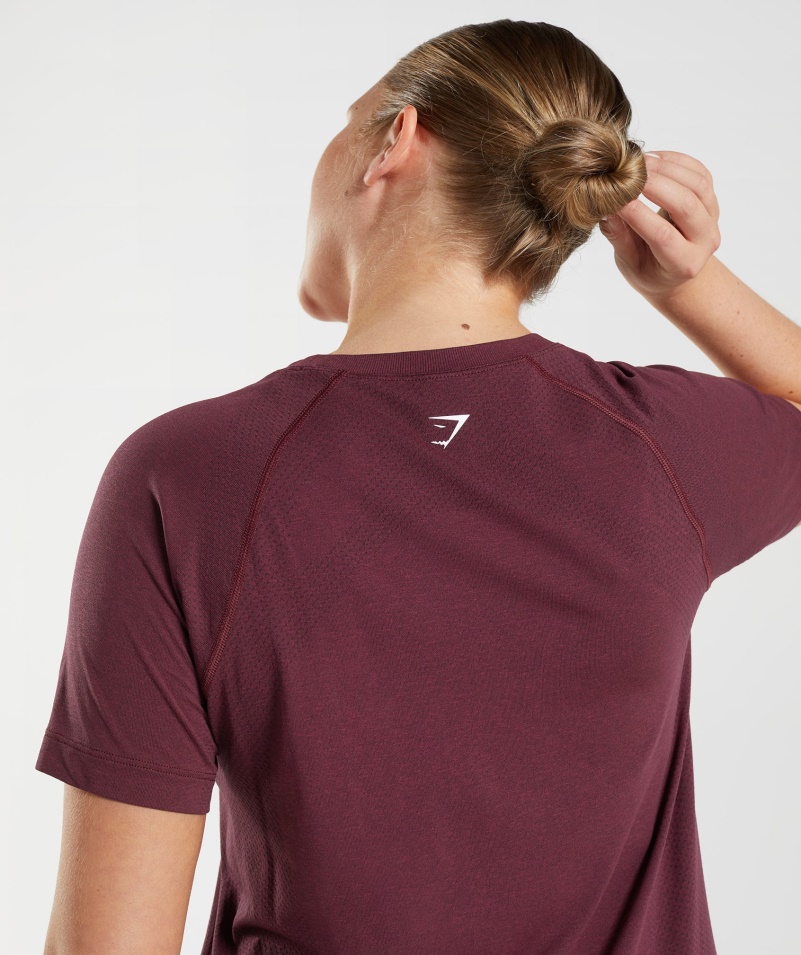 Gymshark Vital Bezšvové 2.0 Svetlé Tričko Zapečené Gaštanovohnedé