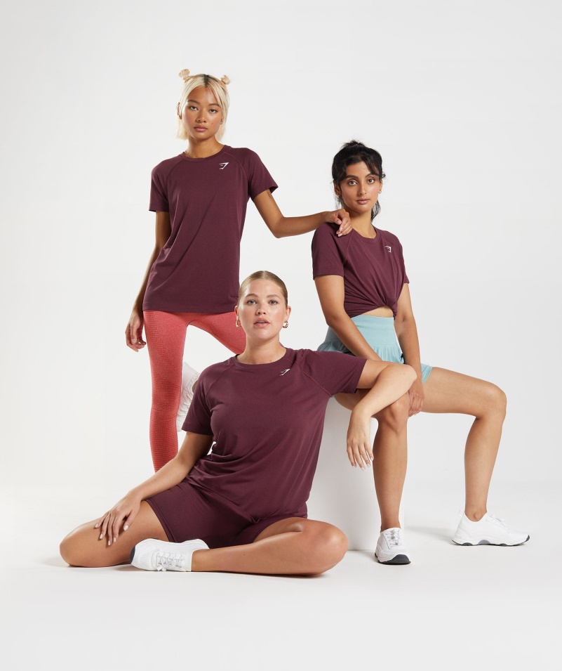 Gymshark Vital Bezšvové 2.0 Svetlé Tričko Zapečené Gaštanovohnedé