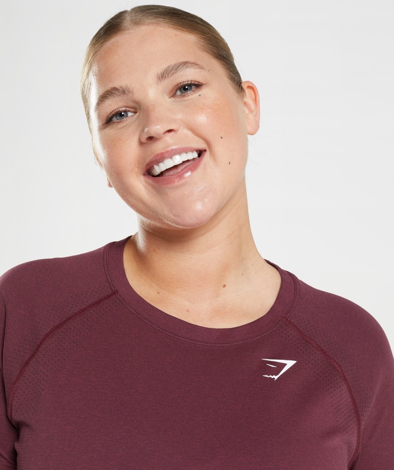 Gymshark Vital Bezšvové 2.0 Svetlé Tričko Zapečené Gaštanovohnedé