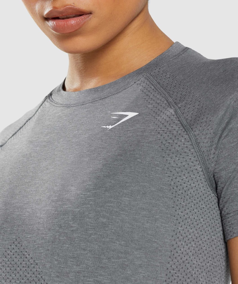 Gymshark Vital Bezšvové 2.0 Svetlé Tričko Smokey Grey Marl