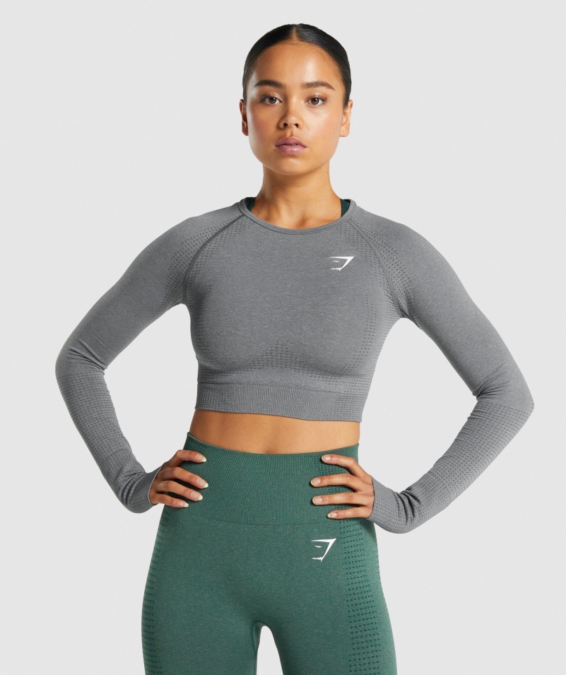 Gymshark Vital Bezšvový 2.0 Crop Top S Dlhým Rukávom Smokey Grey Marl