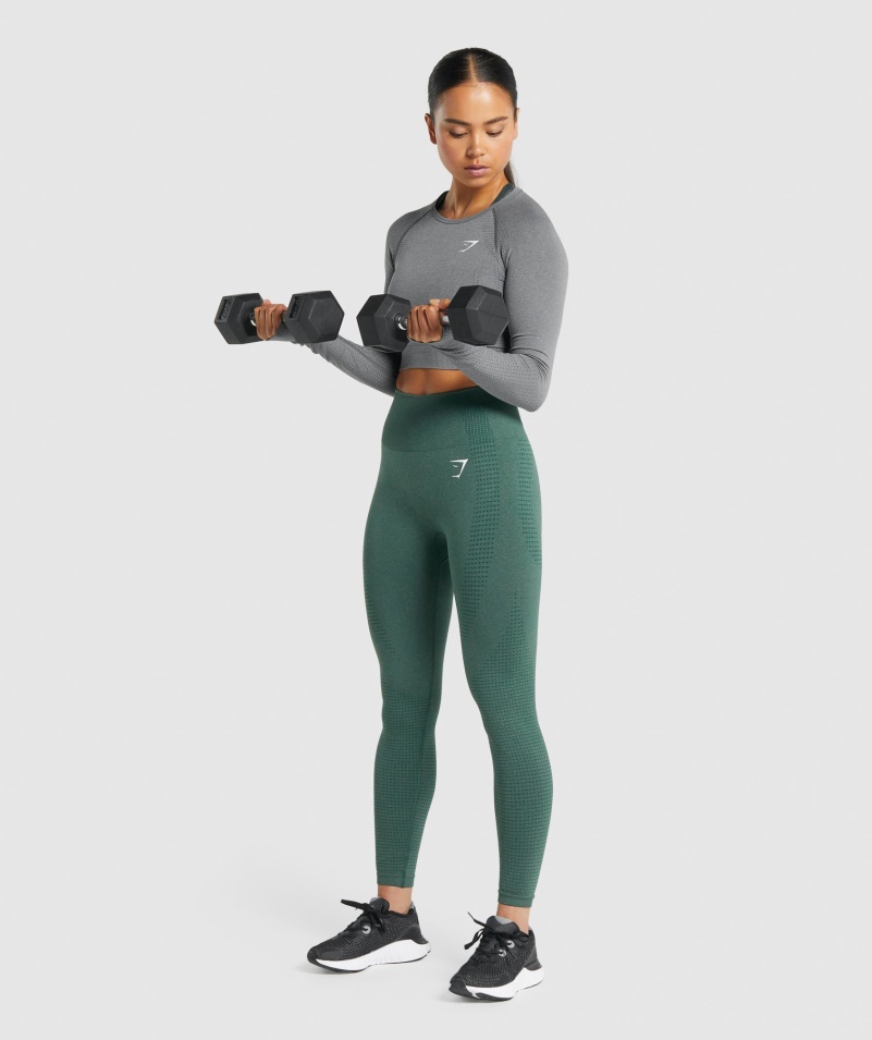 Gymshark Vital Bezšvový 2.0 Crop Top S Dlhým Rukávom Smokey Grey Marl