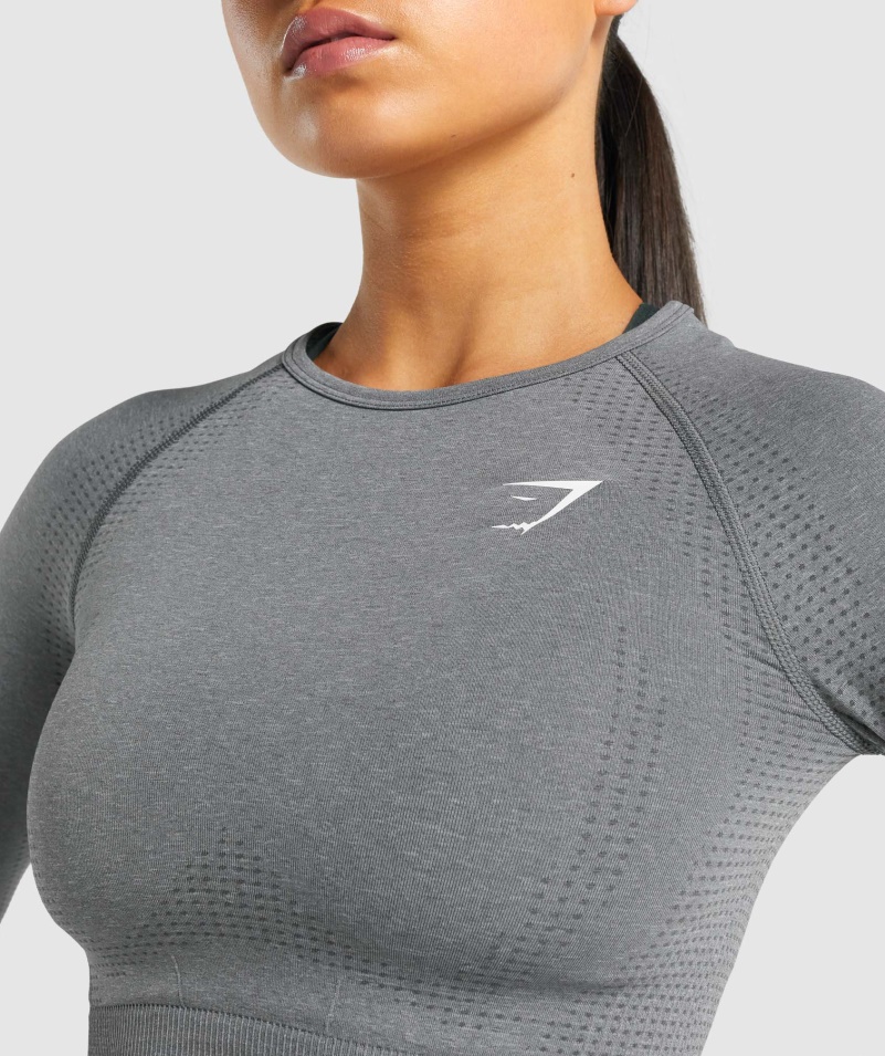 Gymshark Vital Bezšvový 2.0 Crop Top S Dlhým Rukávom Smokey Grey Marl