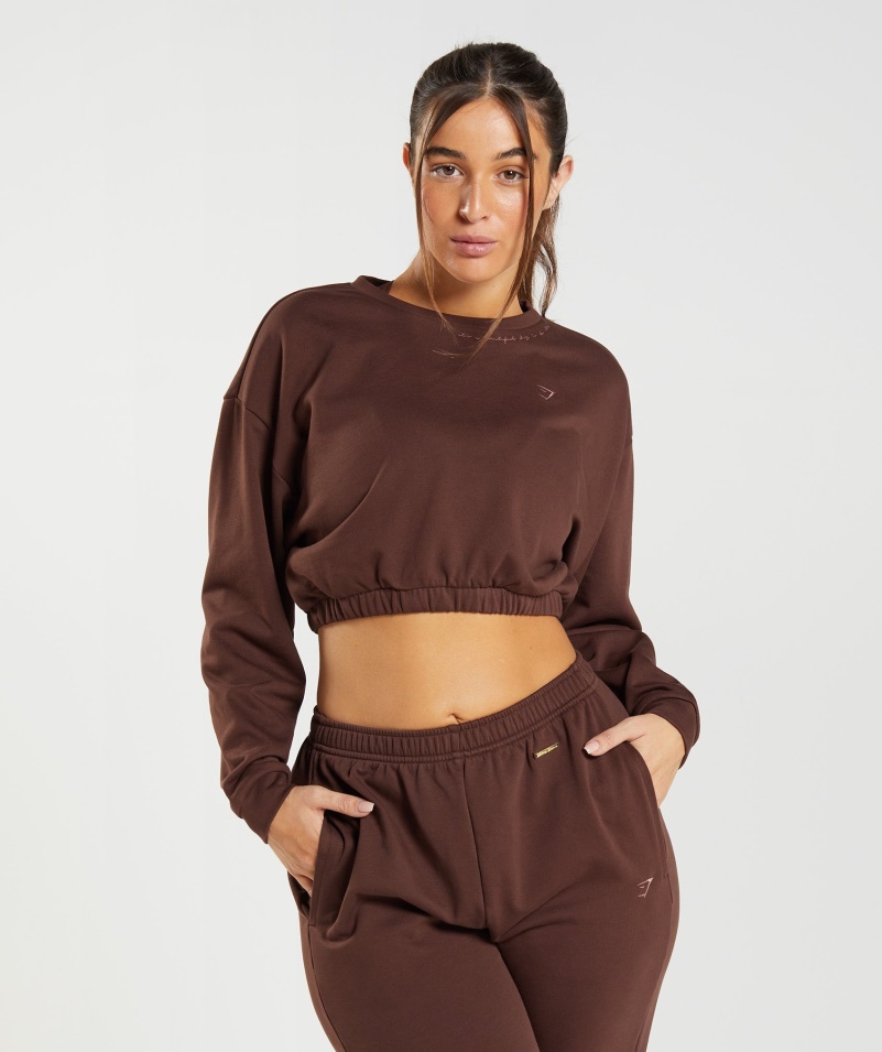 Gymshark Whitney Skrátený Pulóver Oživiť Hnedý
