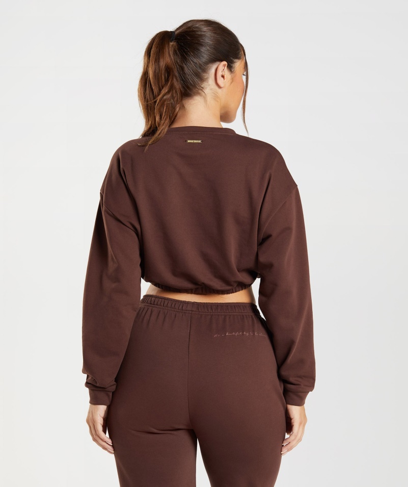 Gymshark Whitney Skrátený Pulóver Oživiť Hnedý